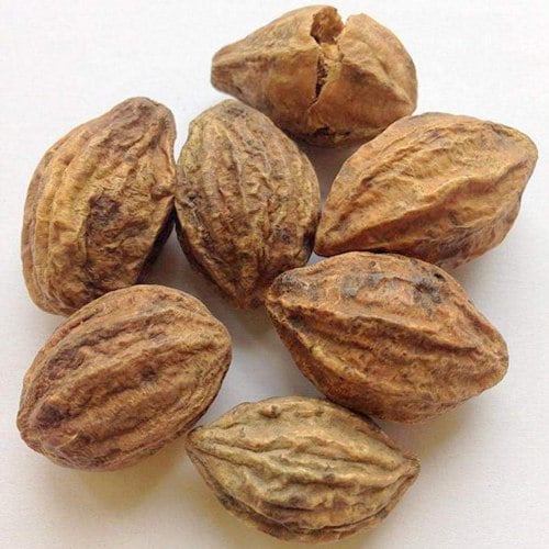Inknut