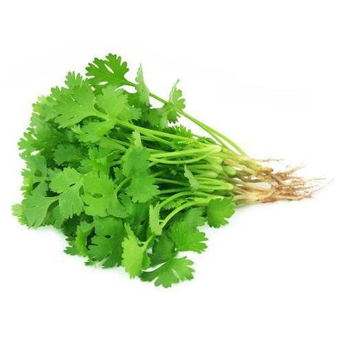 Coriander Leaves