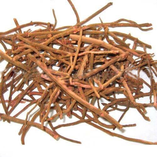 Indian Madder