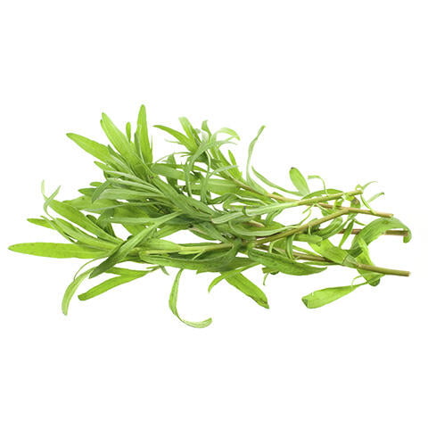 Tarragon