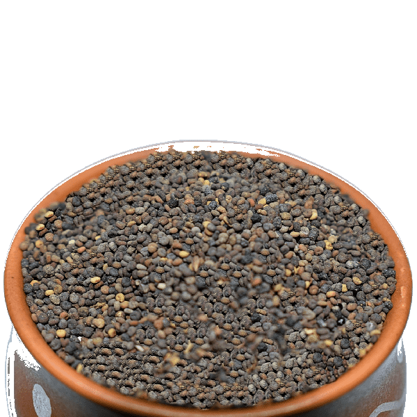 Jakhiya Seeds