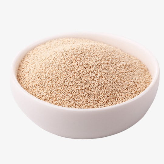 Yeast