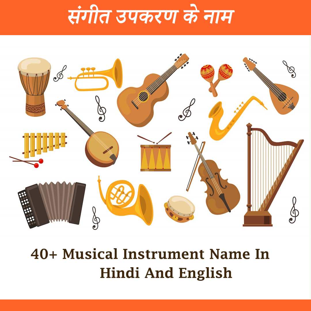essay about musical instruments in hindi