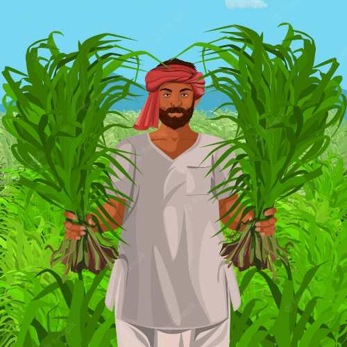 Farmer