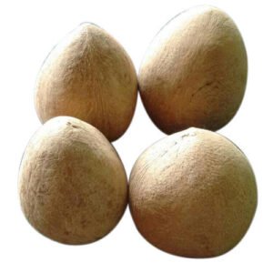 Dry Coconut