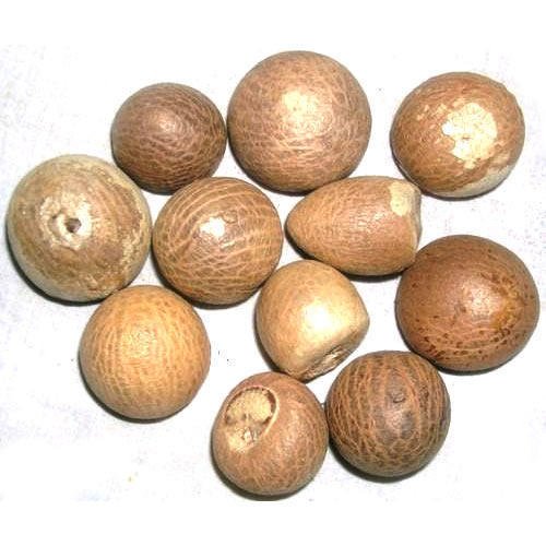 Betal Nut