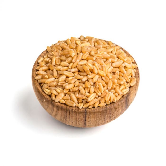 wheat