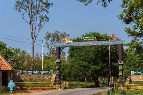 Bandipur Tiger Reserve