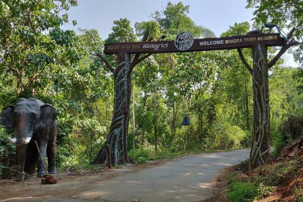 Bhadra Tiger Reserve