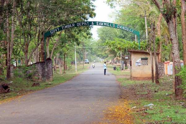 Dandeli-Anshi Tiger Reserve