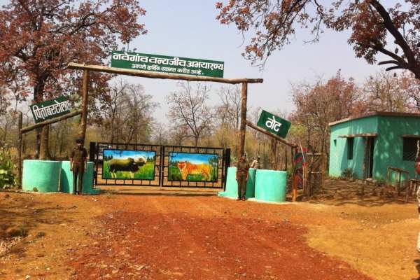 Nawegaon-Nagzira Tiger Reserve