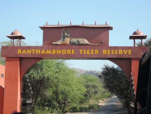 anthambore Tiger Reserve