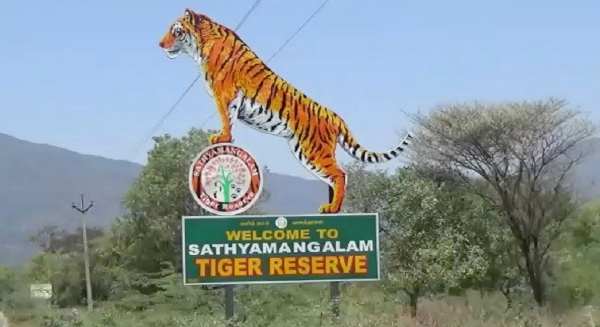 Sathyamangalam Tiger Reserve