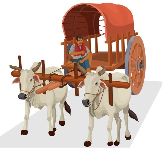 Bullock Cart