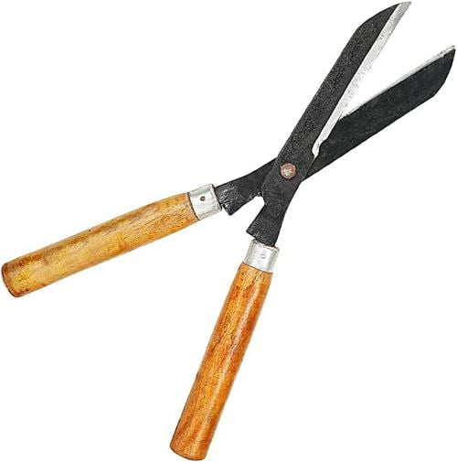 Hedge Shears