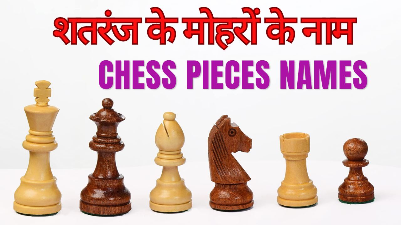 हाथी घोड़ा ऊंट Chess ke pieces ke Hindi aur English name