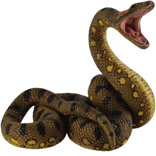 Anaconda