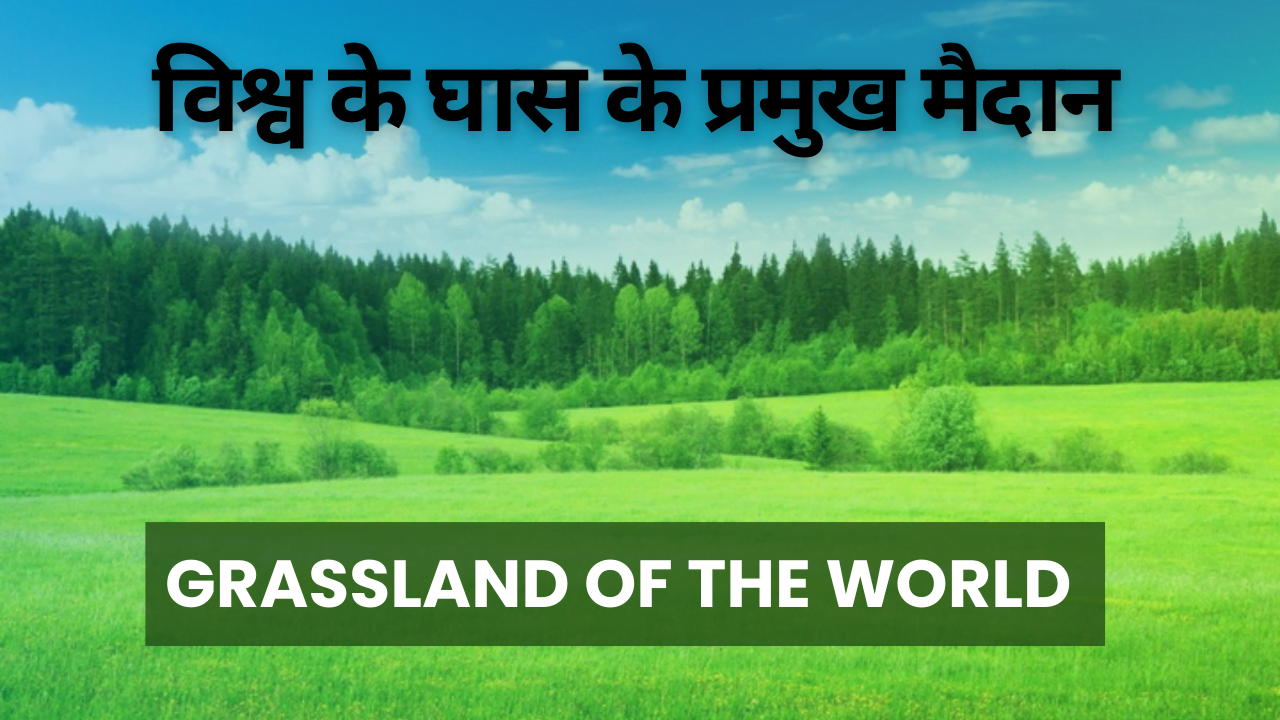 Grassland of the world
