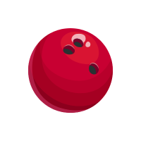 Bowling Ball