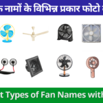 Different Types of Fan Names with Photos – पंखो के नामों के विभिन्न प्रकार फोटो के साथ