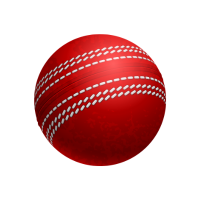 Cricket Ball